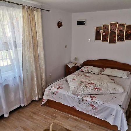 Casa Georgeta Pensionat Bran  Eksteriør billede
